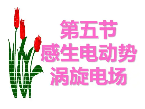 第五节感生电动势涡旋电场