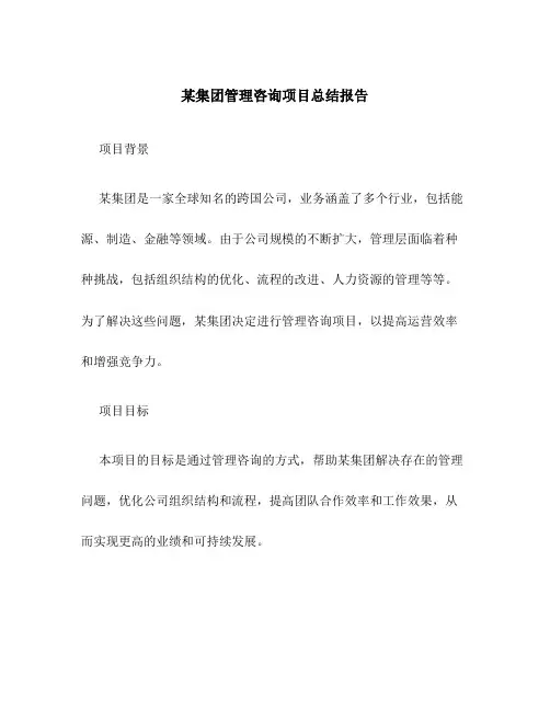 某集团管理咨询项目总结报告
