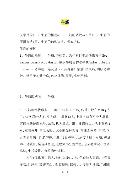 牛筋