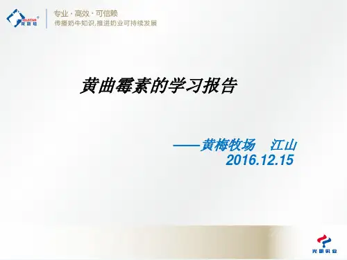 黄曲霉素的学习报告 - 江山