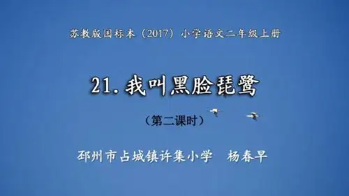 我叫黑脸琵鹭第2课时教学课件苏教版2017语文二年级上册第21课我叫黑脸琵鹭公开课PPT杨春早
