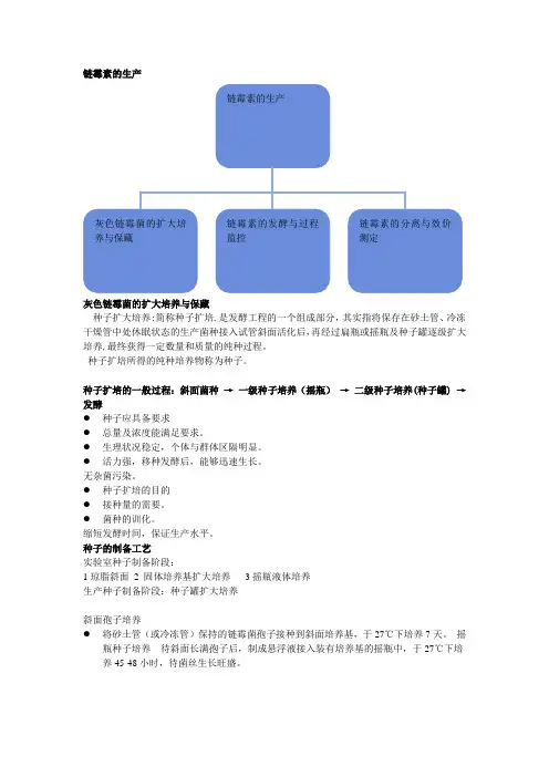 链霉素的生产