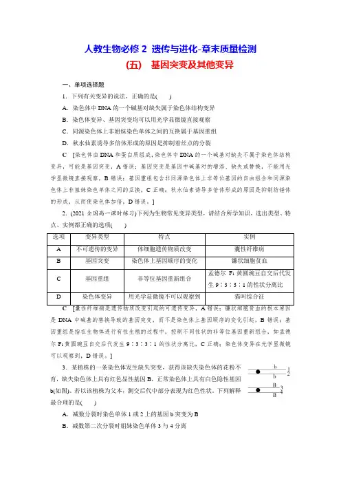 人教生物必修2 遗传与进化-章末质量检测(五) 基因突变及其他变异