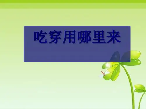 四年级下册品德与社会课件-吃穿用哪里来 人教新课标 