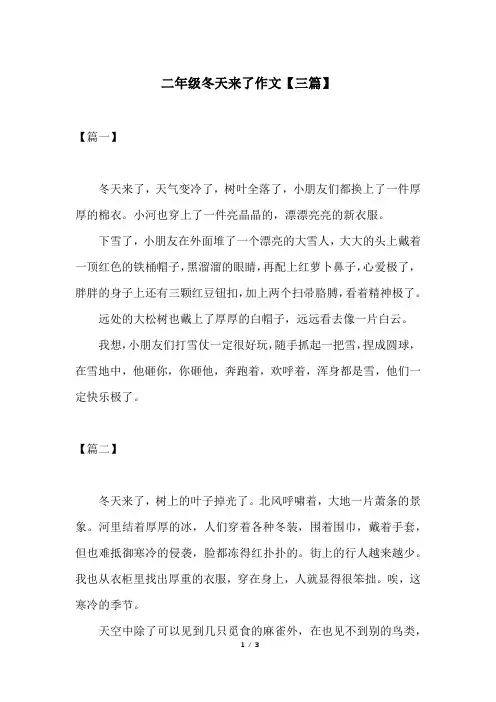 二年级冬天来了作文【三篇】