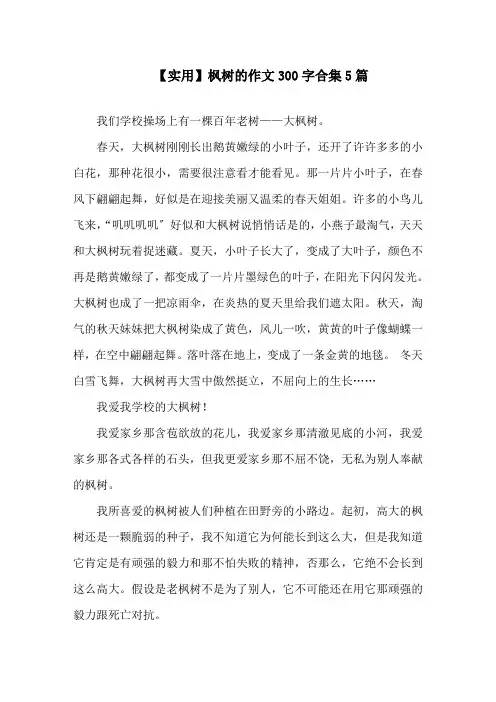 枫树的作文300字精选