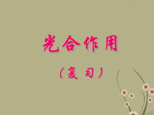 光合作用高三生物复习课件 新课标 人教版