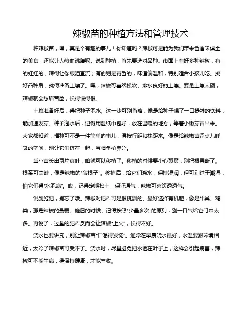 辣椒苗的种植方法和管理技术