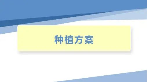 种植方案小学劳技加综合实践PPT课件