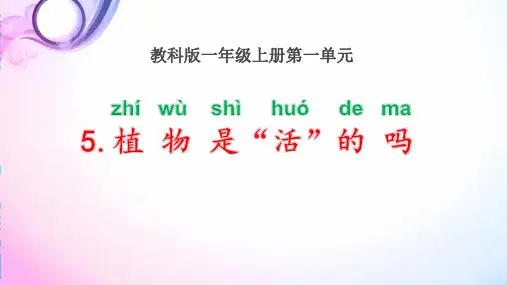 教科版一年级上册科学第一单元第5课《植物是“活”的吗》