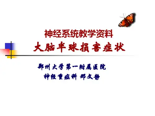 大脑半球损害症状