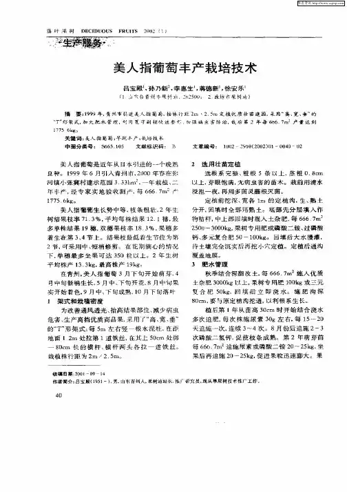 美人指葡萄丰产栽培技术