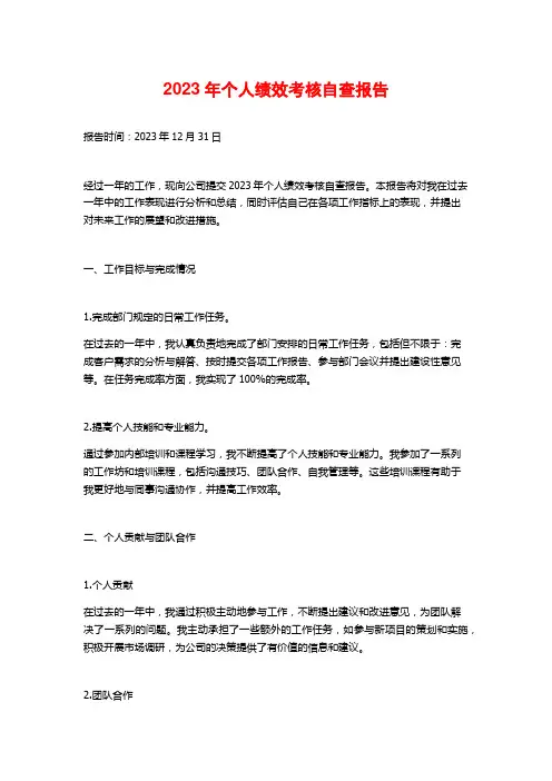 2023年个人绩效考核自查报告