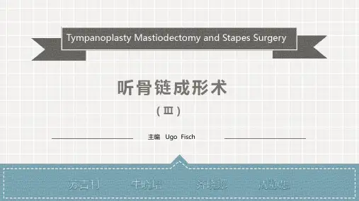 听骨链成形术3-3