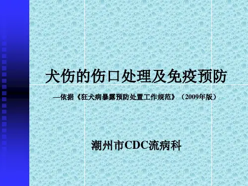 犬伤的伤口处理与免疫预防PPT.ppt