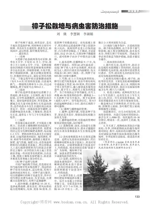 樟子松栽培与病虫害防治措施