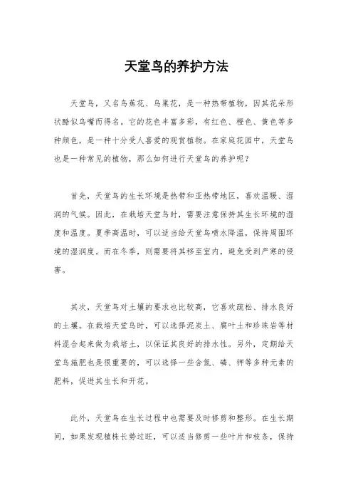 天堂鸟的养护方法