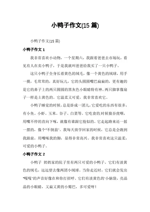 小鸭子作文(15篇)