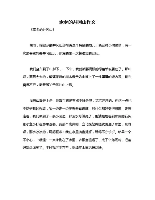 家乡的井冈山作文
