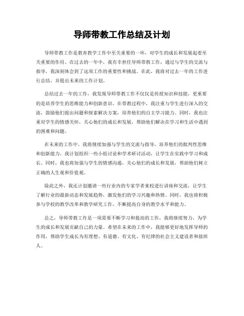 导师带教工作总结及计划