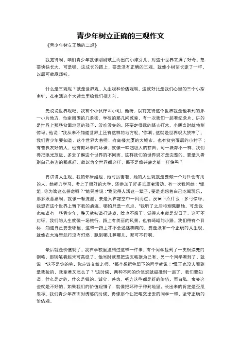 青少年树立正确的三观作文