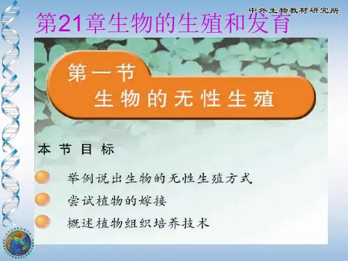 苏教版八年级生物下册第二十一章第一节《生物的无性生殖》课件(33张PPT)