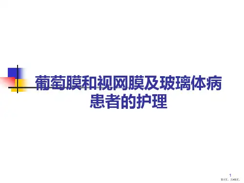 玻璃体和视网膜病人的护理PPT课件