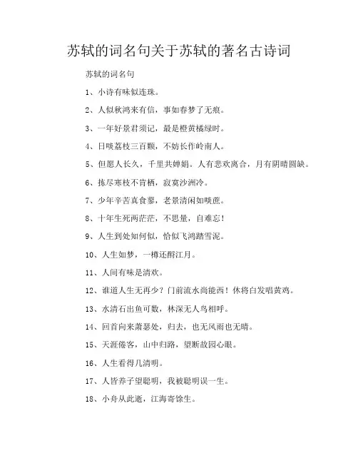 苏轼的词名句关于苏轼的著名古诗词
