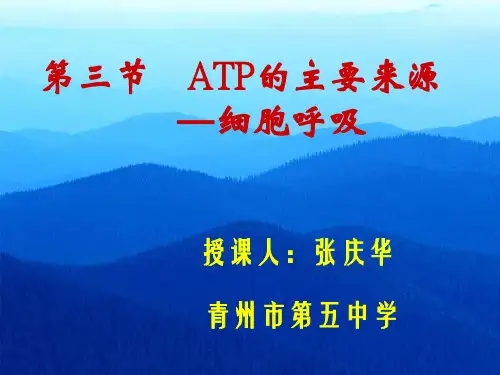 呼吸作用全过程终稿