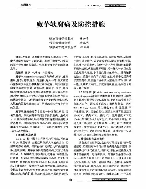 魔芋软腐病及防控措施