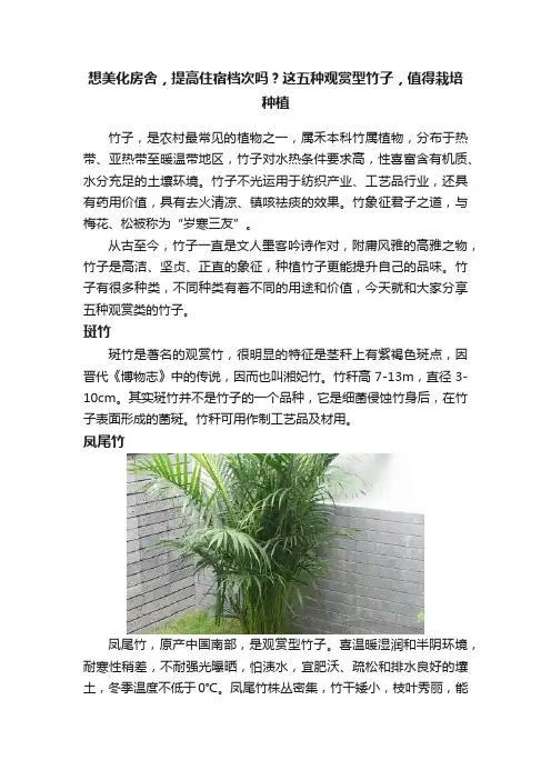 想美化房舍，提高住宿档次吗？这五种观赏型竹子，值得栽培种植