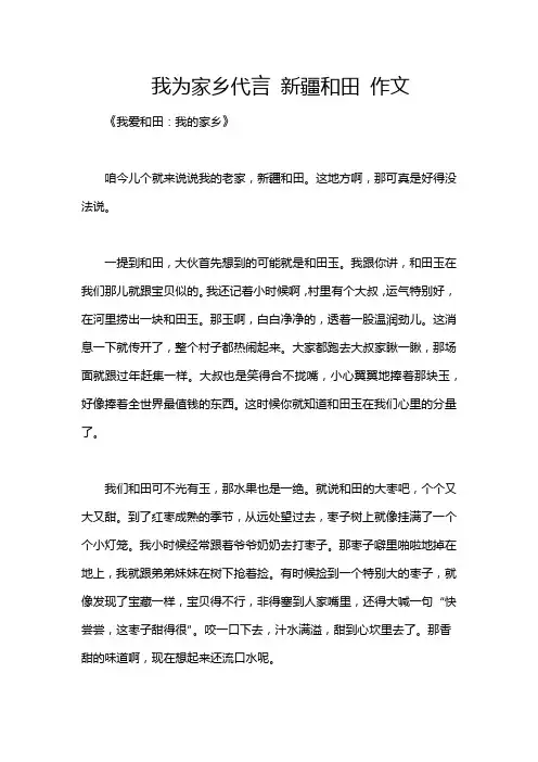 我为家乡代言 新疆和田 作文