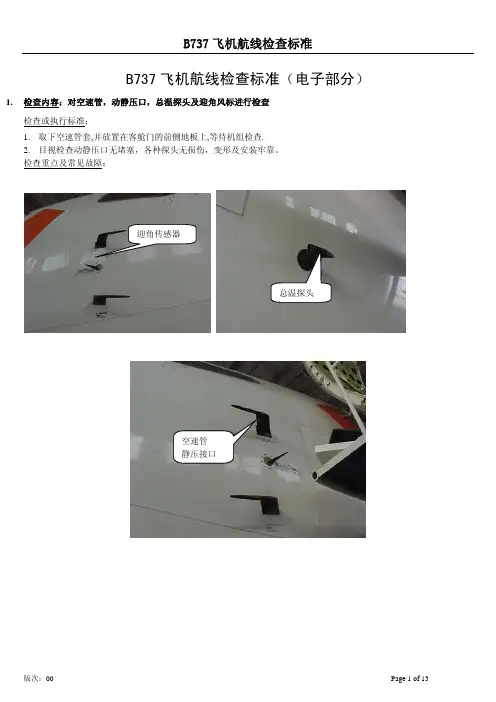 B737飞机航线检查标准(电子)