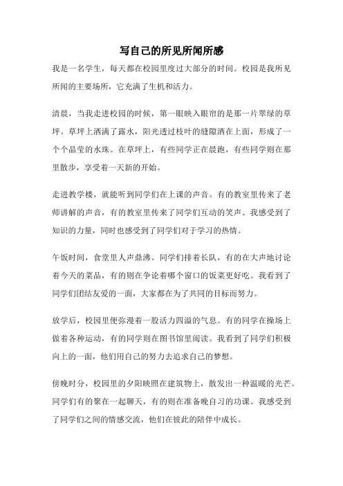 写自己的所见所闻所感