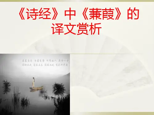 诗经《蒹葭》译文赏析