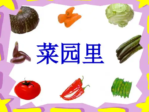 《菜园里》第二课时资料
