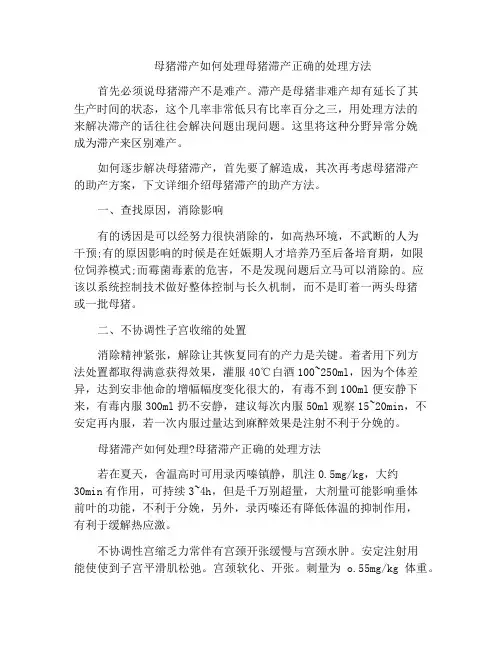 母猪滞产如何处理母猪滞产正确的处理方法