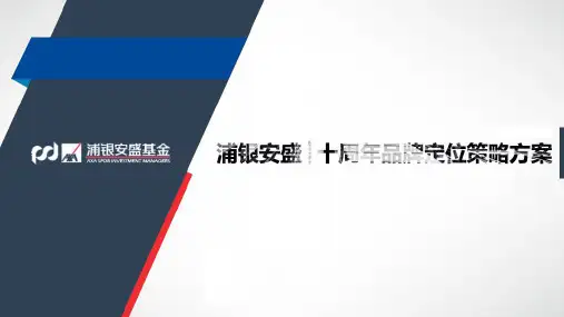 金融投资行业-浦银安盛十周年品牌定位策略品牌推广方案