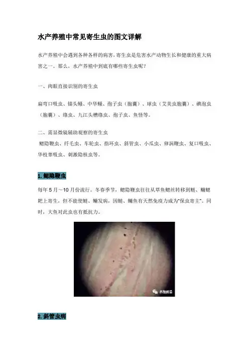 水产养殖中常见寄生虫的图文详解