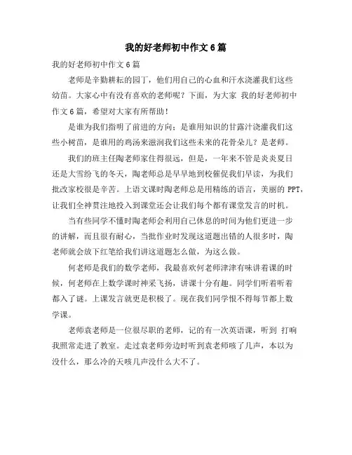 我的好老师初中作文6篇