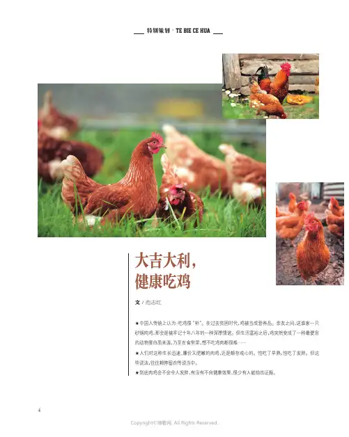 大吉大利，健康吃鸡