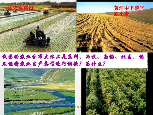 人教版高中地理必修二第三章第一节农业的区位选择一等奖优秀课件