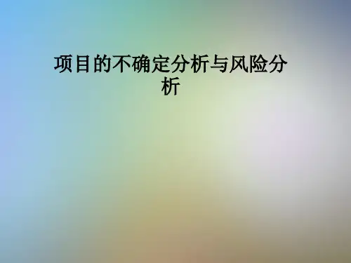 项目的不确定分析与风险分析