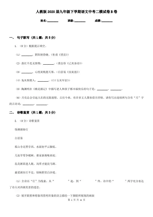 人教版2020届九年级下学期语文中考二模试卷B卷