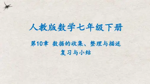 第10章  数据的收集、整理与描述复习与小结 课件