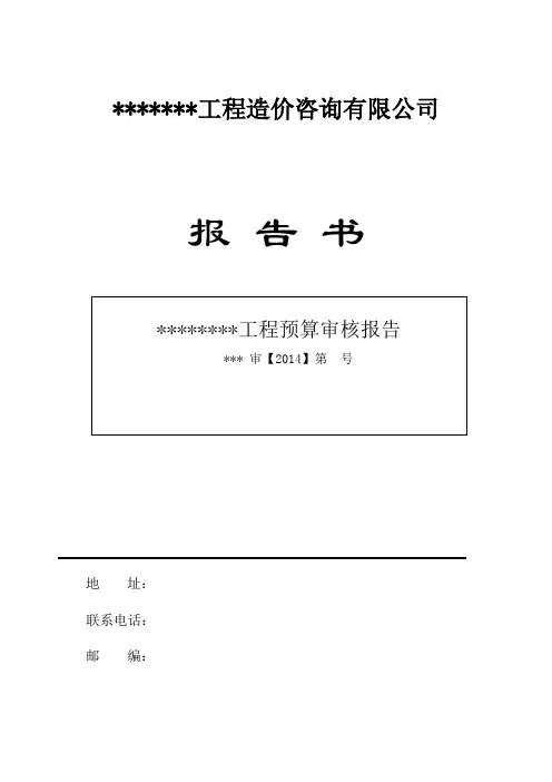 预算审核报告