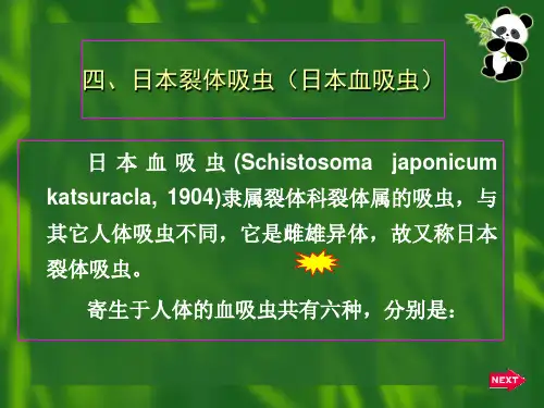5、日本血吸虫(附：尾蚴性皮炎)