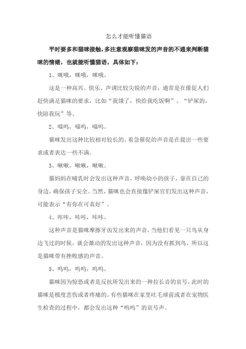 怎么才能听懂猫语