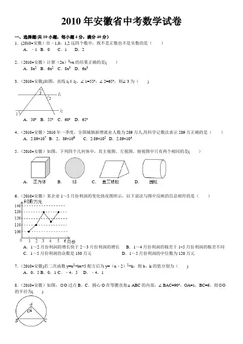 2010年安徽中考数学试题及答案(解析版)