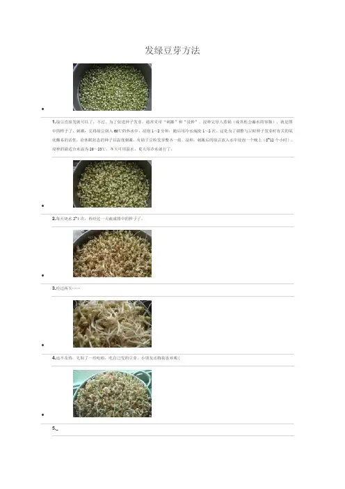 发绿豆芽方法